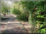 Birchwood's Walled Garden.