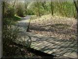 Birchwood's Walled Garden.