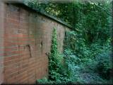 Birchwood's Walled Garden.