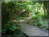 Birchwood's Walled Garden.