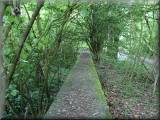 Birchwood's Walled Garden.