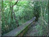 Birchwood's Walled Garden.