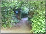 Birchwood's Walled Garden.