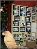 The display at Risley Moss Visitor Centre